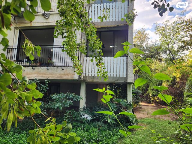 הרב הרצוג 14