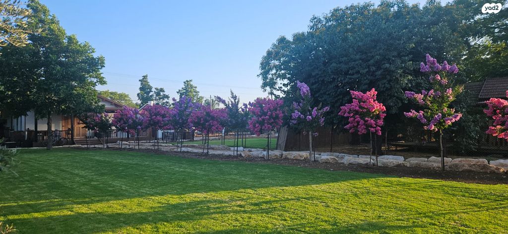 משק חקלאי/ נחלה, העולים 1, תל עדשים, תל עדשים