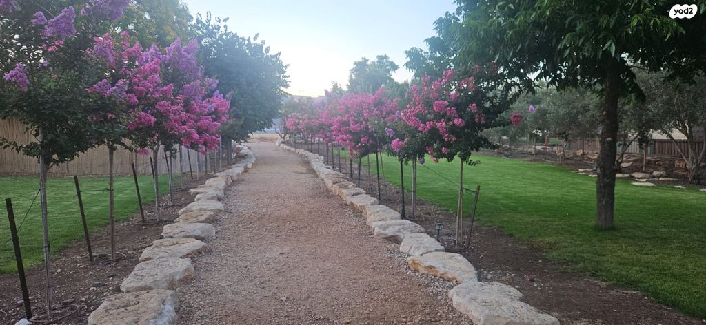 משק חקלאי/ נחלה, העולים 1, תל עדשים, תל עדשים