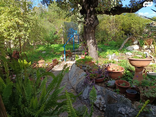 בית פרטי/ קוטג', האלונים 18, טבעון הוותיקה, קרית טבעון