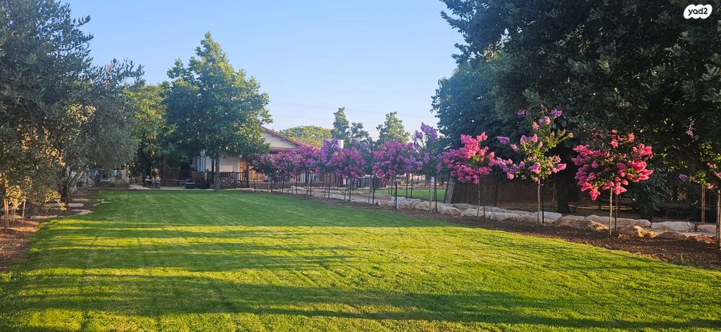 משק חקלאי/ נחלה, העולים 1, תל עדשים, תל עדשים