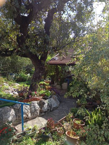 בית פרטי/ קוטג', האלונים 18, טבעון הוותיקה, קרית טבעון