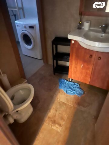 מאיר גרשון 51