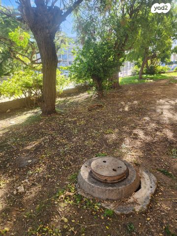 דירה, ח.מ. שפירא 38, גולדה, אשקלון