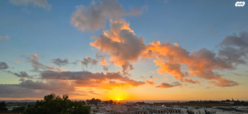 דירה, שושנת העמקים 41, רמת אמיר, קדימה צורן