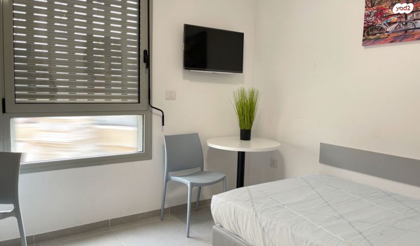 אליעזר הופיין 63