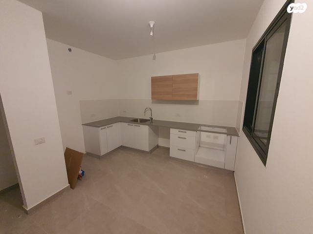 רועי קליין 2