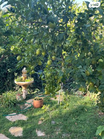 בית פרטי/ קוטג', דרך הצבר 11, ראש פינה, ראש פינה
