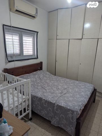 דבורה בארון 6