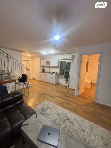 מתתיהו שוהם 33