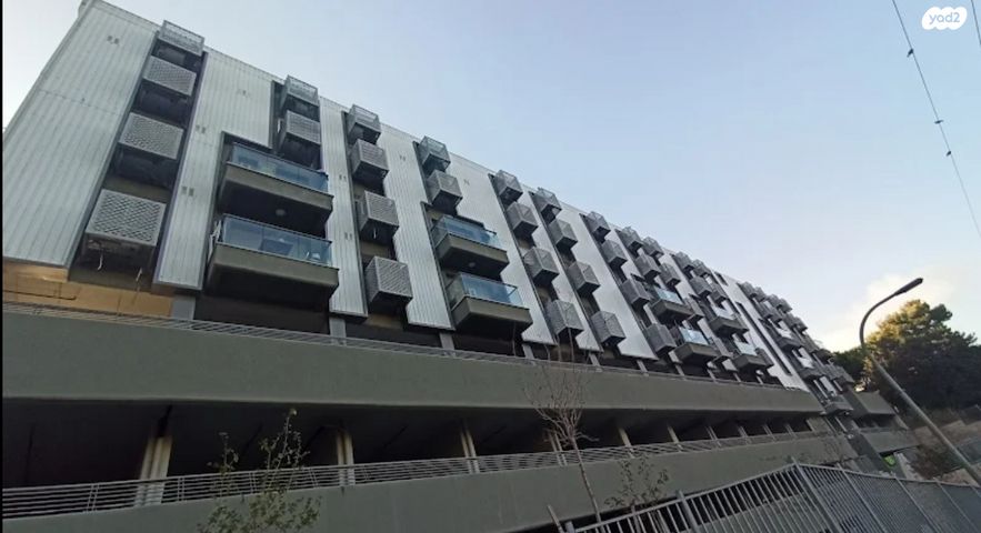 אריה לובה אליאב 18