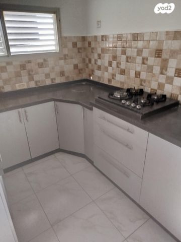 דירת גן, הורדים 13, רובע א', אריאל