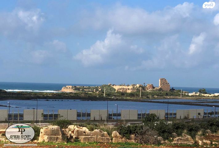 דירה, הרכס, עתלית