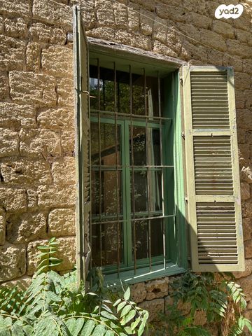 דירת גן, ציונה תג'ר 3, תל אביב יפו