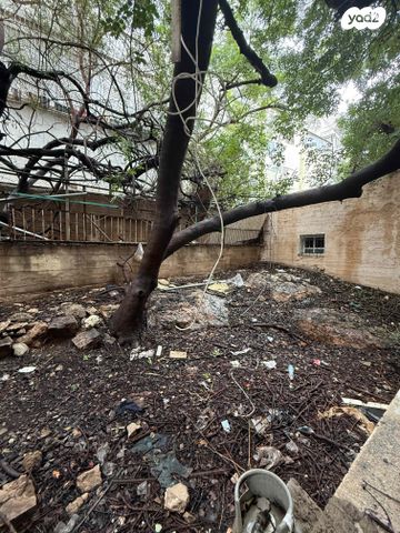 דירה, יוסף 28, הדר מרכז, חיפה