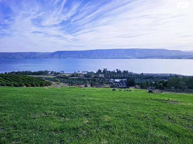 כינרת מושבה