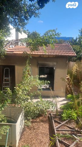 מגרשים, הגולן, רמת החייל, תל אביב יפו