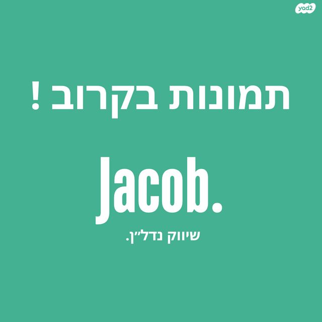 השחף 