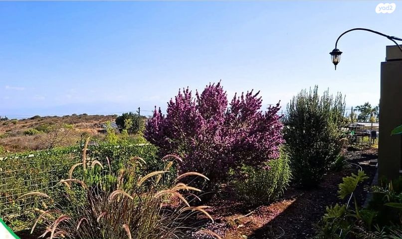 בית פרטי/ קוטג', העירית 20, רמות נפתלי