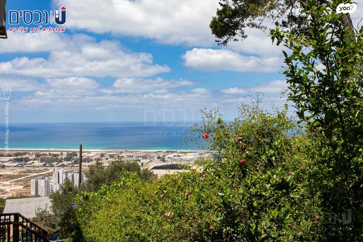 דירת גן, חיפה