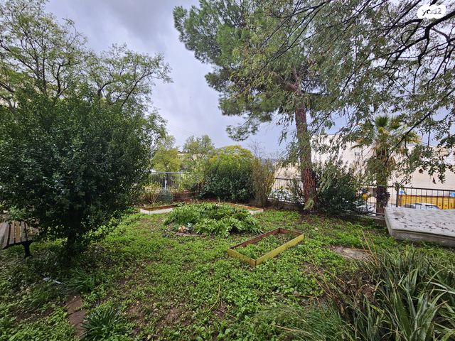 דירה, הגליל, כרמיאל