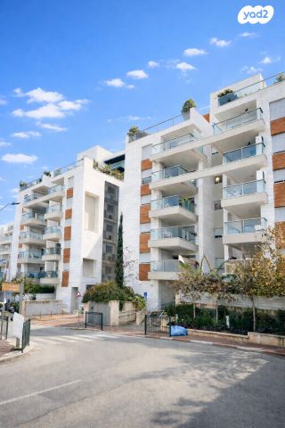 יהודה המכבי 