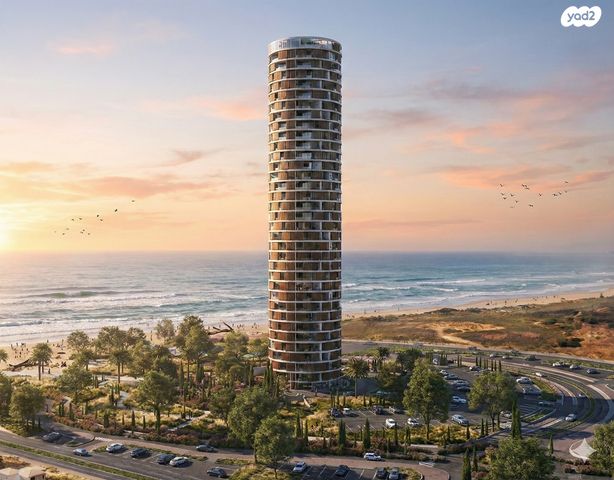 עיר ימים / הבלוט