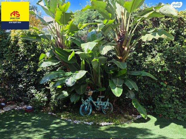 בית פרטי/ קוטג', דפנה, נס ציונה