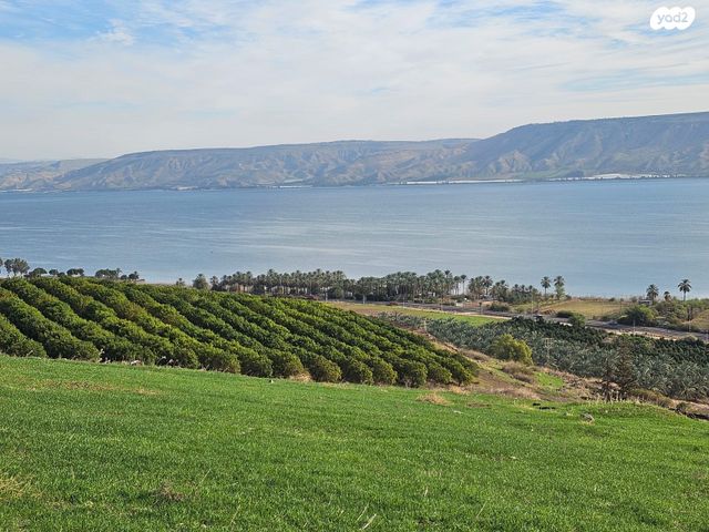 מגרשים, כינרת מושבה, כינרת מושבה