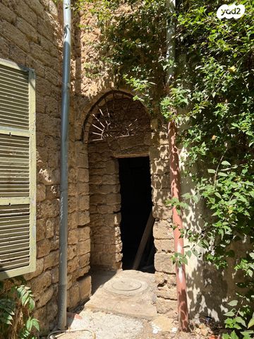 ציונה תג'ר 3