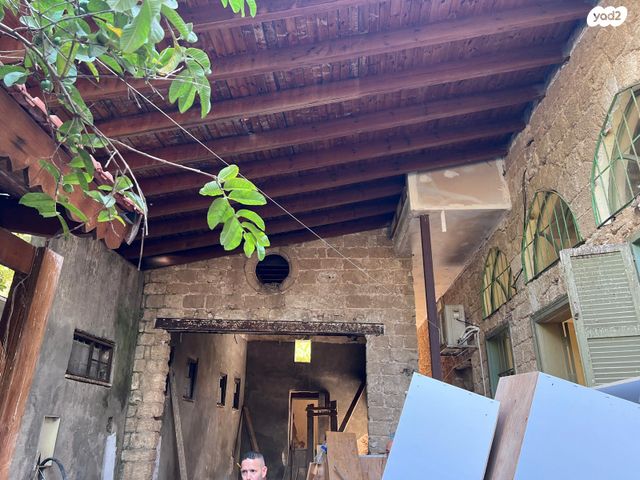 דירת גן, ציונה תג'ר 3, תל אביב יפו