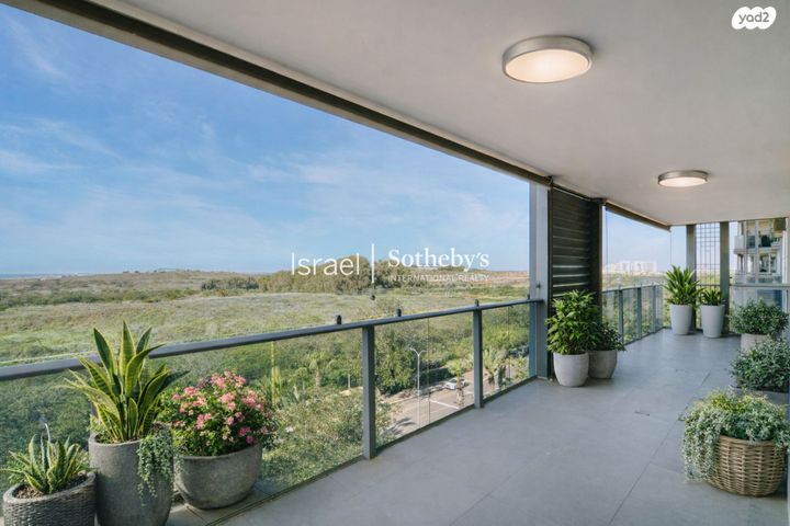 אליהו ברלין 