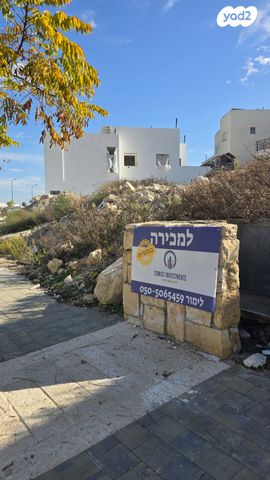 מגרשים, בני דקלים