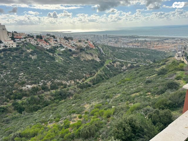 גג/ פנטהאוז, דורון מייבלום, אחוזה, חיפה