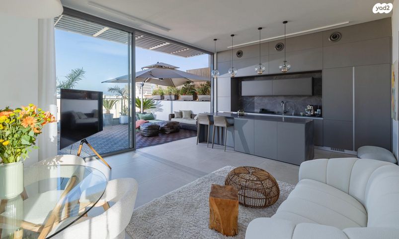 גג/ פנטהאוז, הצפון הישן - צפון, תל אביב יפו