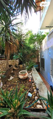 דירה, הס, הדר עליון, חיפה