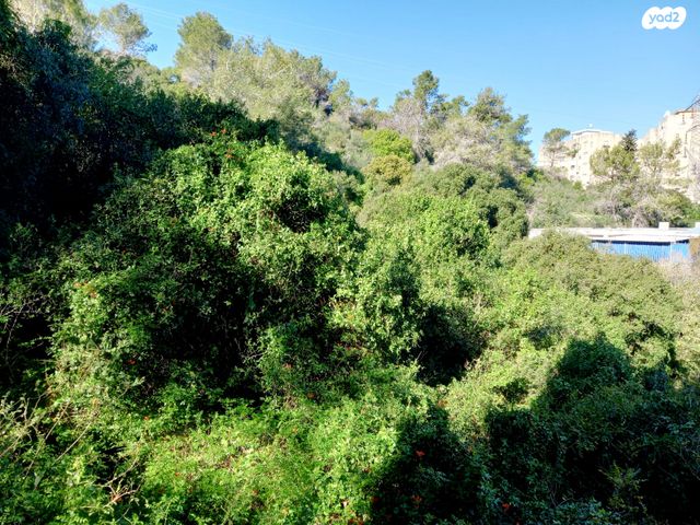 דירה, יהודה בורלא 15, רמות רמז, חיפה