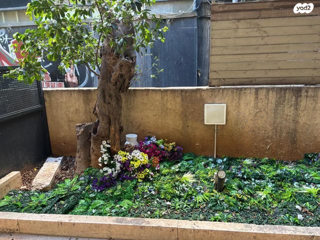 דירה, דיזנגוף, הצפון הישן - צפון, תל אביב יפו