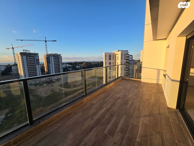 דירה, ד"ר יוסף בורג, כוכב הצפון, נתניה