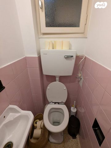 יהודה המכבי 