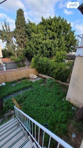 אלכסנדרוני 