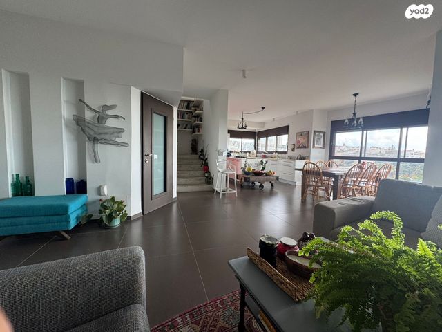 דורון מייבלום 