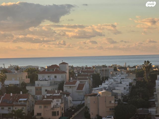 ד"ר יוסף בורג 