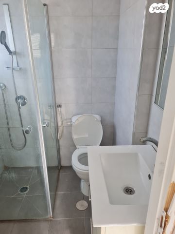 דירה, זאב ז'בוטינסקי, ד' / מערב מרכז העיר, רחובות