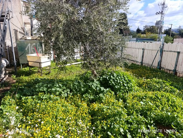 יחידת דיור, בן גוריון, שכונה ותיקה - מרכז העיר, מעלות תרשיחא