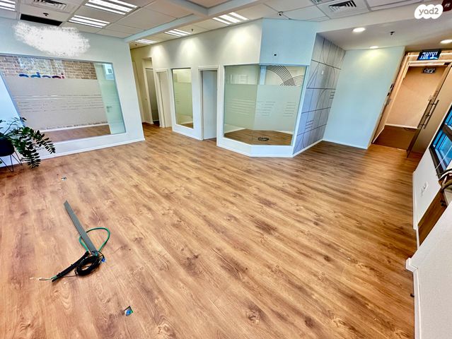 מדינת היהודים 