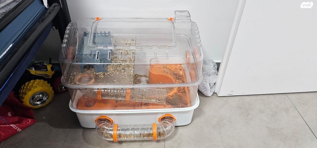 תמונת מודעה - חיות מחמד