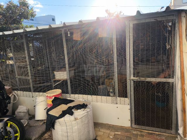 תמונת מודעה - חיות מחמד