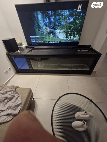 תמונת מודעה - חיות מחמד