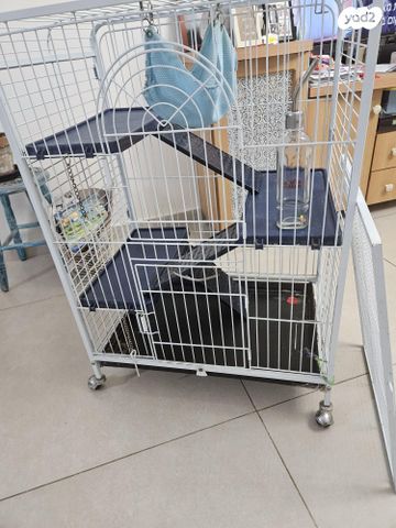 תמונת מודעה - חיות מחמד